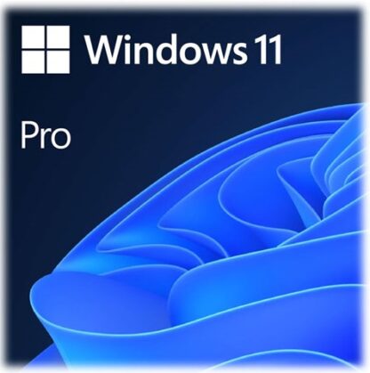 Windows 11 Pro